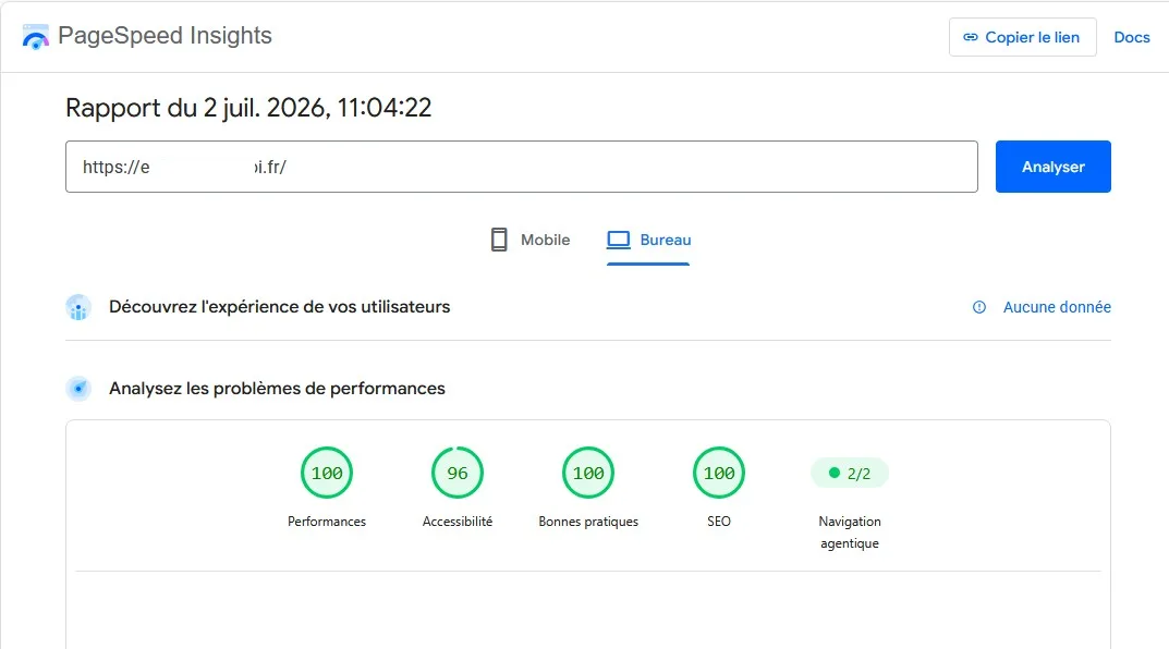 Analyse des performances et du référencement technique